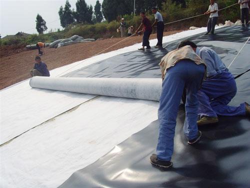 Op maat gemaakte 2 mm HDPE-membraan voor vijvers ASTM GM standaard en textuurde waterdichte film 9
