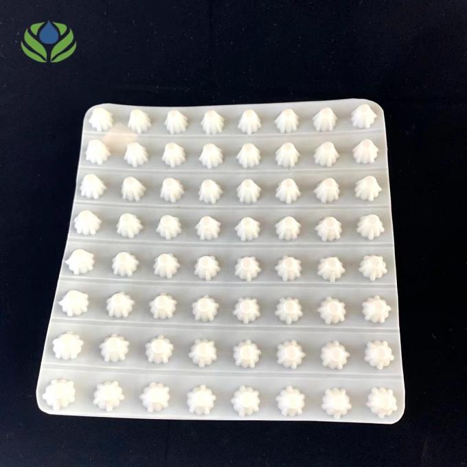Rechthoekige waterdichte HDPE drainage board Dimple Membrane Drain Mat voor groen dak 1